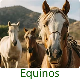 producto orgánico cuidado equinos caballos pulgas garrapata