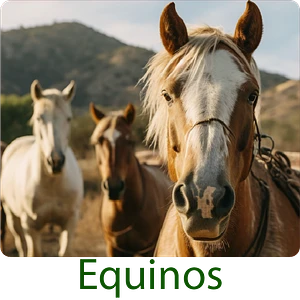 producto orgánico cuidado equinos caballos pulgas garrapata