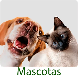 producto contra pulgas ácaros garrapatas mata y perros gatos