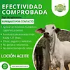 Medio Litro Loción Aceite | Insecticida Orgánico Para Ganado