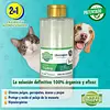 Shampoo Orgánico | Antipulgas Antigarrapatas Para Mascotas